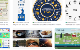 Per- und polyfluorierte Chemikalien (PFAS)